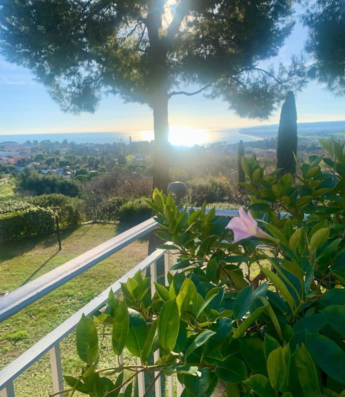 Tra Gli Alberi E Il Mare Bed and Breakfast Sirolo Exteriör bild