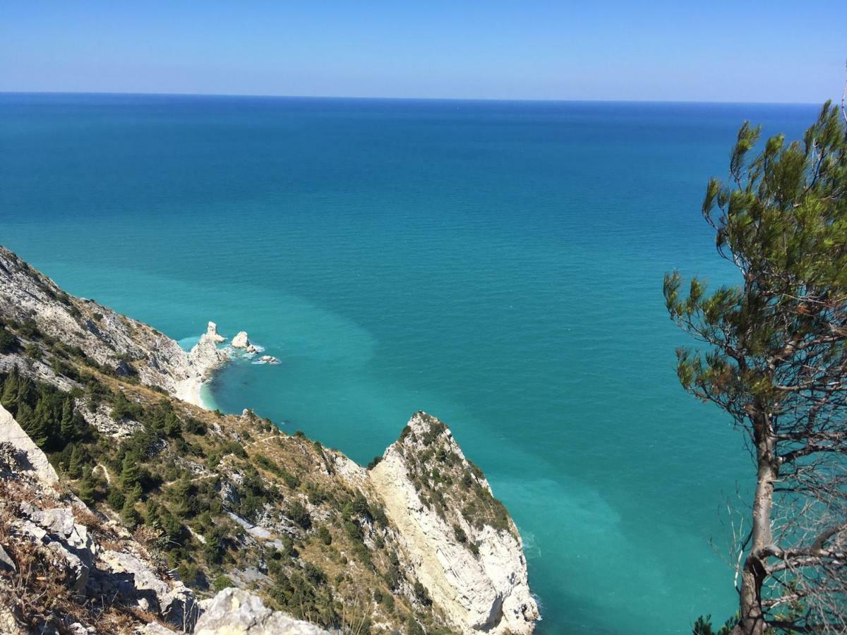 Tra Gli Alberi E Il Mare Bed and Breakfast Sirolo Exteriör bild