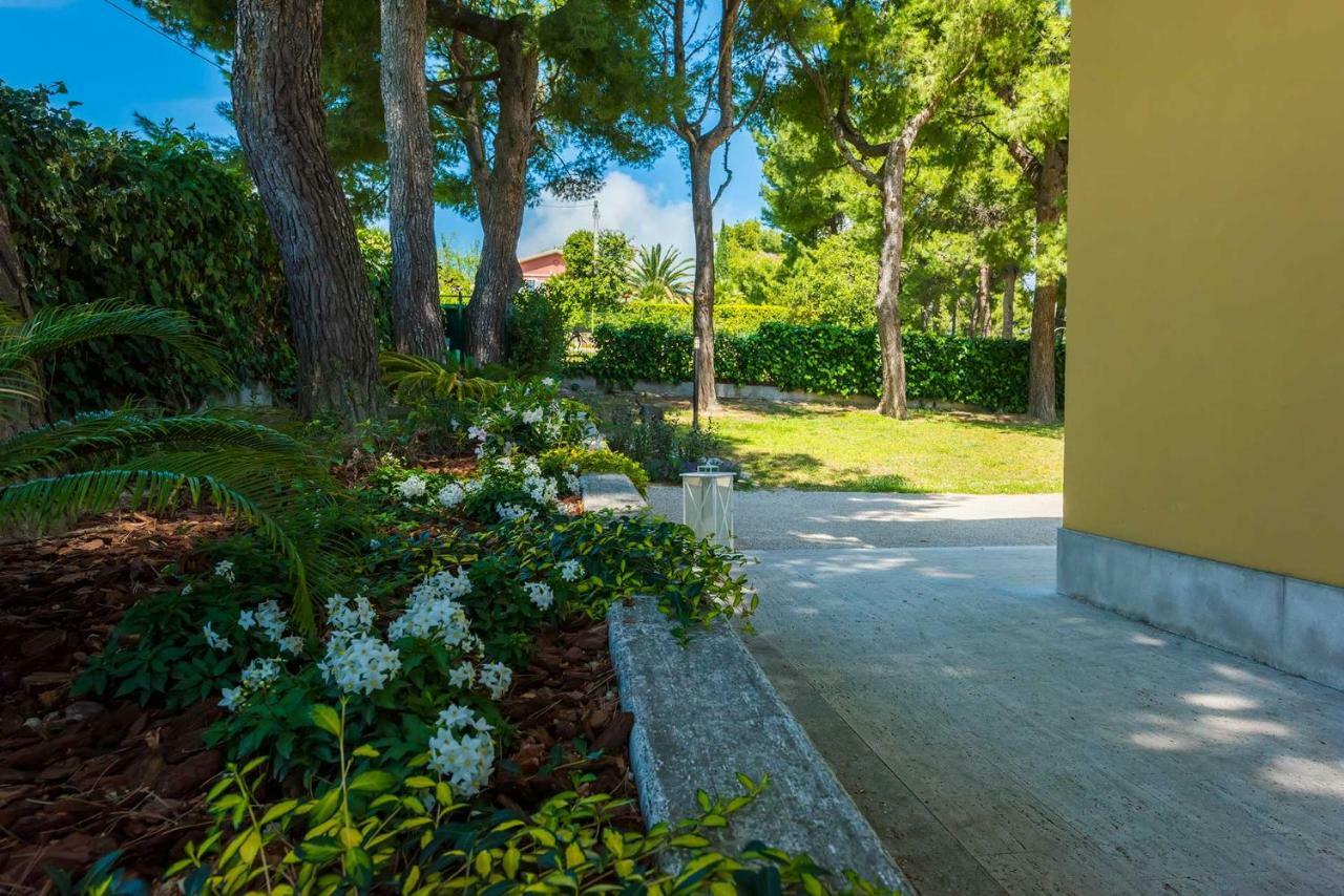 Tra Gli Alberi E Il Mare Bed and Breakfast Sirolo Exteriör bild
